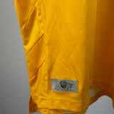 Dynamo Dresden 2008/09 Heimtrikot (M)