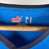 Ibisevic Heimtrikot TSG Hoffenheim 2008/09 Puma – Match Issue