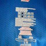 Ibisevic Heimtrikot TSG Hoffenheim 2008/09 Puma – Match Issue