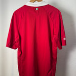 Hannover 96 2012/13 Heimtrikot Jako Rückseite
